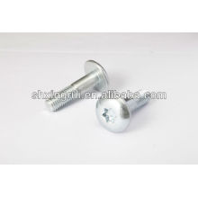 non-standard TORX button head screws